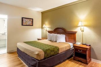 Room, 1 King Bed, Accessible, Non Smoking