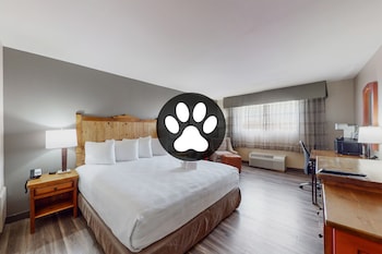 Standard Room, 1 King Bed, Non Smoking (Pet Friendly)