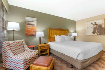 Standard Room, 1 King Bed, Accessible, Non Smoking
