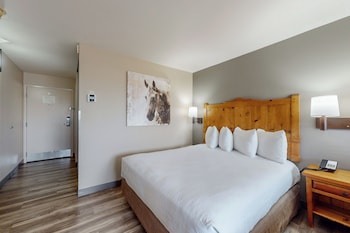 Standard Room, 2 Queen Beds, Non Smoking (Pet Friendly)