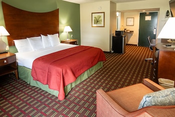 Deluxe Room, 1 King Bed, Non Smoking