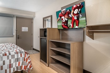 Standard Room, 1 King Bed, Accessible, Non Smoking