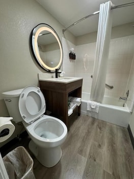 Single Room, Garden View