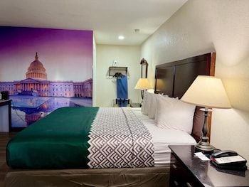 Single Room, Garden View