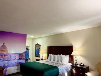 Single Room, Garden View
