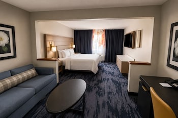 Suite, 1 King Bed with Sofa bed