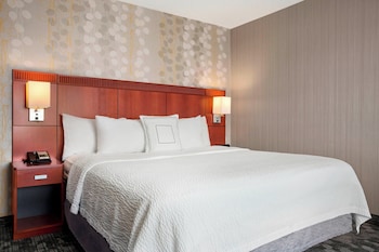 Room, 1 King Bed
