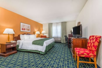 Room, 1 King Bed