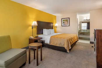 Standard Room, 1 King Bed, Non Smoking