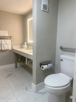 Room, 1 King Bed, Mobility Accessible, Non Smoking (Roll-In Shower, Lounge Chair)
