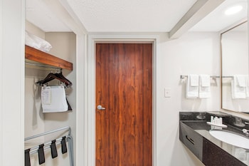 Room, Multiple Beds