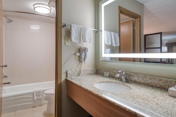 Standard Room, 1 King Bed, Non Smoking, Refrigerator & Microwave (with Single Sofabed;Larger Room)