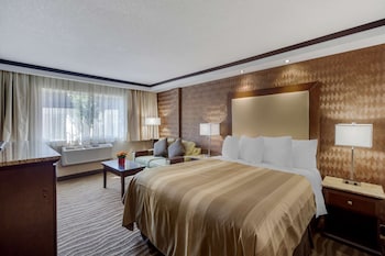 Standard Room, 1 Queen Bed, Accessible, Non Smoking (with Sofabed)