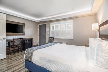 Room, 1 Queen Bed, Mobility Accessible