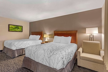 Standard Room, 2 Queen Beds, Microwave