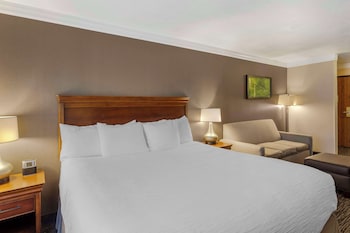 Standard Room, 1 King Bed, Jetted Tub (with Sofabed)
