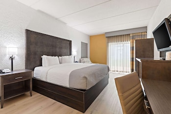 Deluxe Patio Room, 1 King Bed, Pet-Friendly, Non Smoking