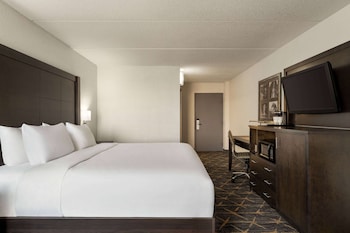 Room, 1 King Bed, Accessible, Non Smoking (Mobility/Hearing, Roll-in Shwr)
