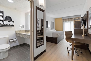 Deluxe Patio Room, 1 King Bed, Pet-Friendly, Non Smoking