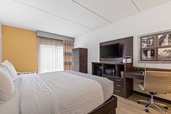 Deluxe Patio Room, 1 King Bed, Pet-Friendly, Non Smoking