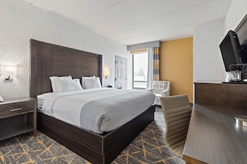 Room, 1 King Bed, Non Smoking