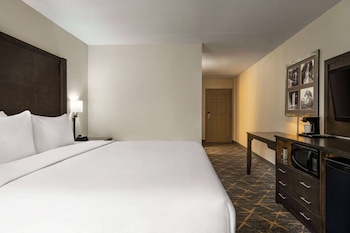 Room, 1 King Bed, Non Smoking