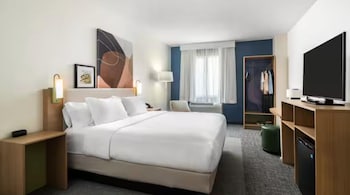 Room, 1 King Bed, Accessible, Bathtub (Mobility & Hearing)