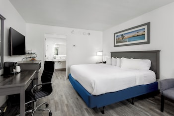 Standard Room, 1 King Bed, Accessible