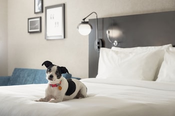 Room, 2 Queen Beds