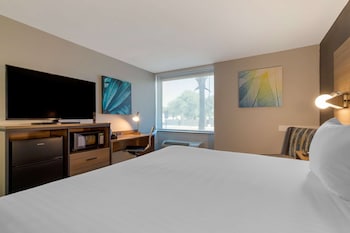 Standard Room, 1 King Bed, Refrigerator & Microwave