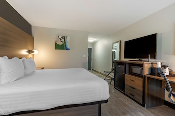 Standard Room, 1 King Bed, Refrigerator & Microwave