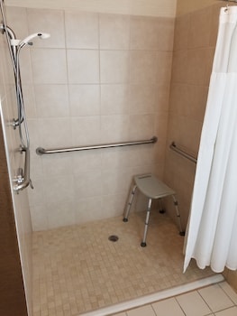 Deluxe Room, 1 King Bed, Accessible, Non Smoking (Mobility/Hearing, Roll-in Shower)