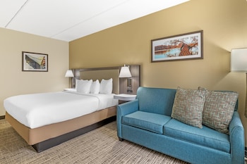 Standard Room, 1 King Bed, Non Smoking, Refrigerator & Microwave (Oversized Room)