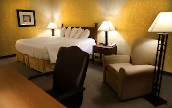 Standard Room, 1 King Bed, Non Smoking, Refrigerator & Microwave