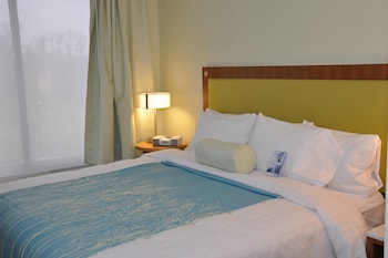 Studio, 1 King Bed with Sofa bed