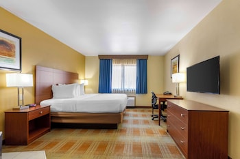 Standard Room, 1 King Bed, Non Smoking, Refrigerator & Microwave