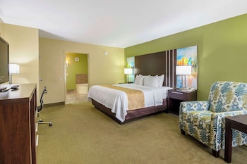Room, 1 King Bed, Non Smoking (Upgrade)
