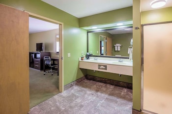 Room, 1 King Bed, Non Smoking (Upgrade)