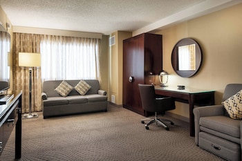 Studio, 1 King Bed, Kitchenette (1 Sofa bed)