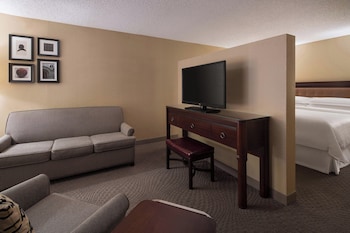 Premium Room, 1 King Bed (1 Sofa bed)