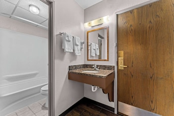 Business Room, 1 King Bed, Non Smoking