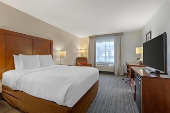 Business Room, 1 Queen Bed with Sofa bed, Non Smoking