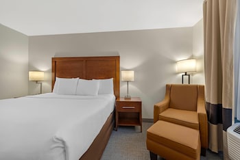 Standard Room, 1 King Bed, Non Smoking