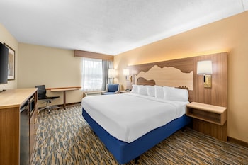Standard Room, 1 King Bed, Accessible, Refrigerator & Microwave