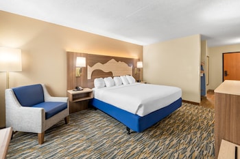 Standard Room, 1 King Bed, Accessible, Refrigerator & Microwave