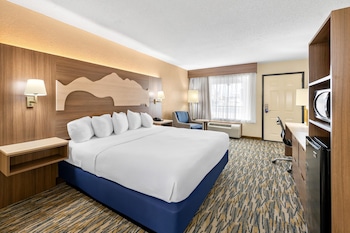 Standard Room, 1 King Bed, Accessible, Refrigerator & Microwave
