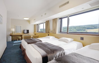 No cleaning service Deluxe Twin+Extra Bed(Non-smoking)