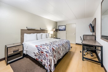 Superior Room, 1 King Bed, Accessible (Roll-In Shower, Smoke Free)