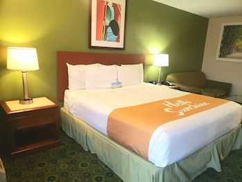 Room, 1 King Bed, Non Smoking