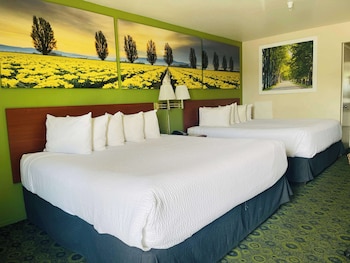 Room, Multiple Beds, Non Smoking